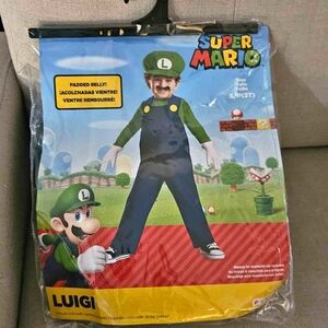 Nintendo Super Mario Luigi Kids Costume - Green and Blue